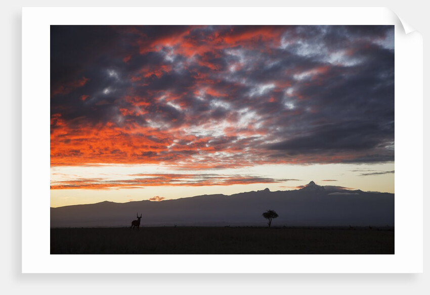 Mount Kenya, Kenya by Anonymous
