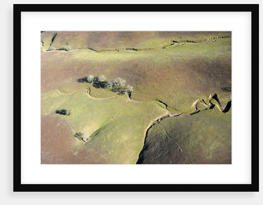 Aerial view of a dried up stream in Santa Ynez, California by Anonymous