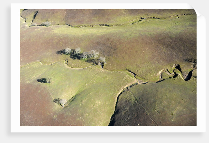 Aerial view of a dried up stream in Santa Ynez, California by Anonymous