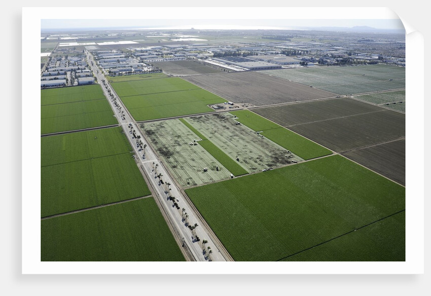 Aerial view of Oxnard, California by Anonymous