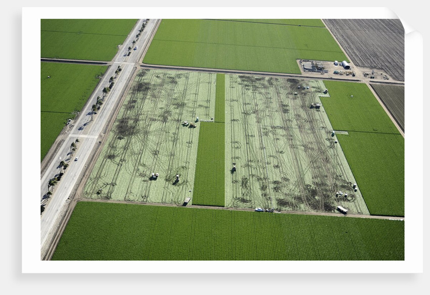 Aerial view of a working farm in Oxnard, California by Anonymous