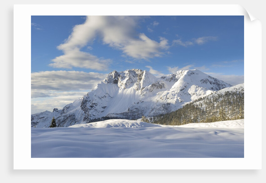 Mount Bivera seen by Casera Razzo, casera razzo , veneto, Italy, Italia by Anonymous