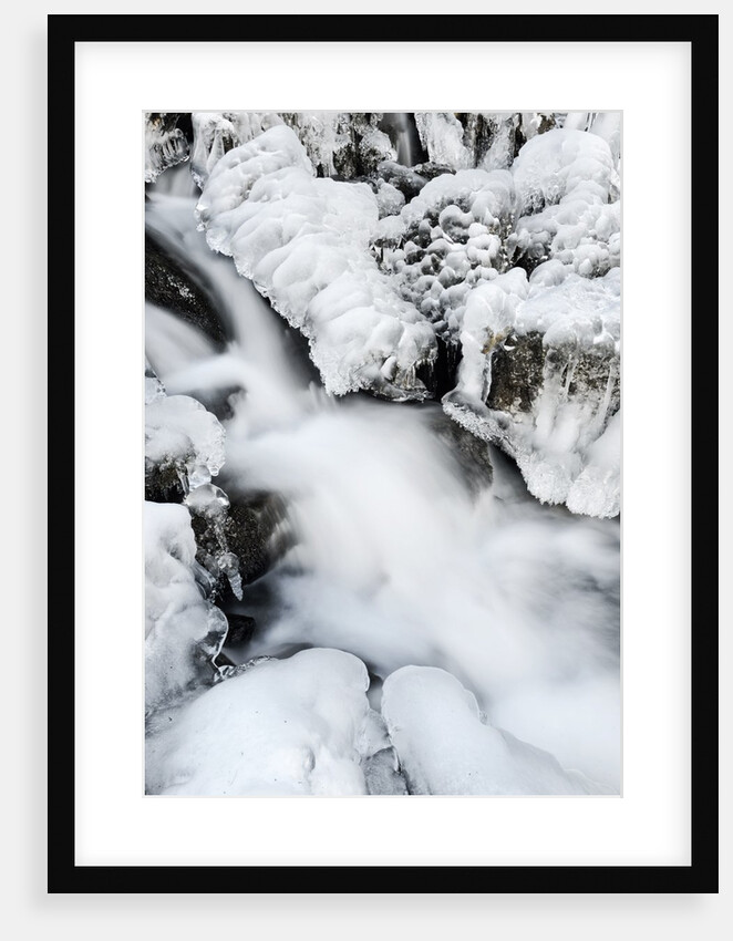 Mountain stream flowing beneath a blanket of ice, Alpi Carniche , Friuli-Venezia Giulia, Carnia by Anonymous