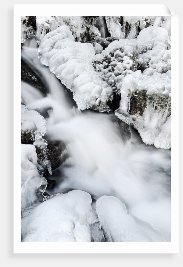 Mountain stream flowing beneath a blanket of ice, Alpi Carniche , Friuli-Venezia Giulia, Carnia by Anonymous