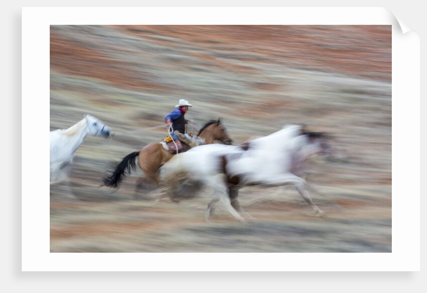 Cowboy at Full Gallop in motion by Anonymous