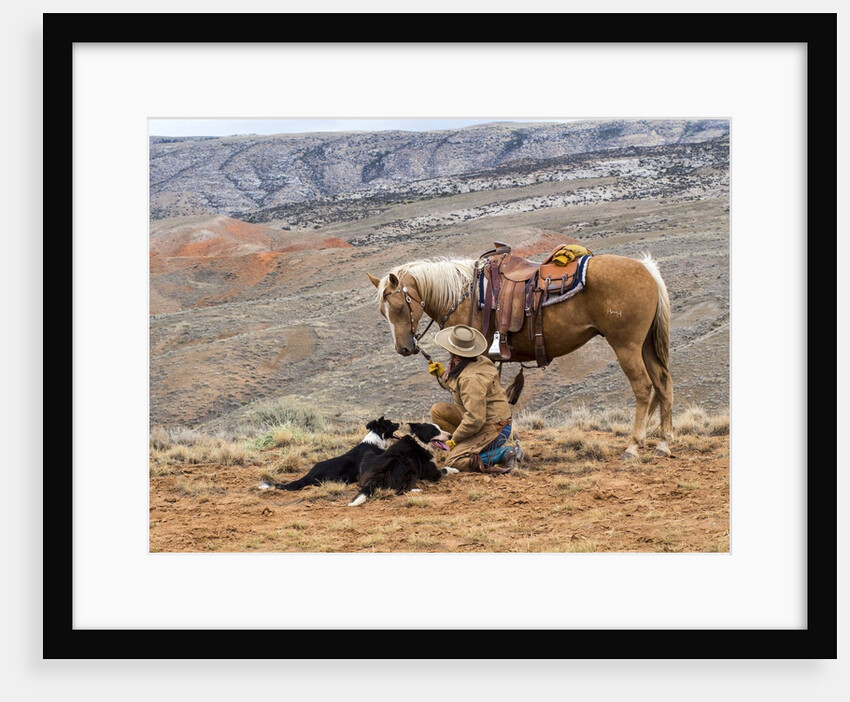 Cowgirl and Her Horse with dog viewing the countryside by Anonymous