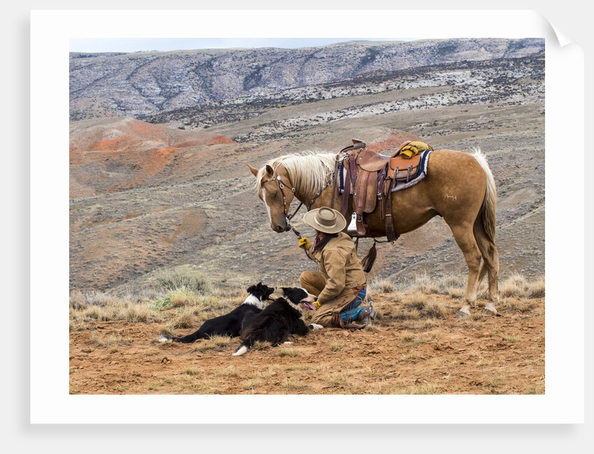 Cowgirl and Her Horse with dog viewing the countryside by Anonymous