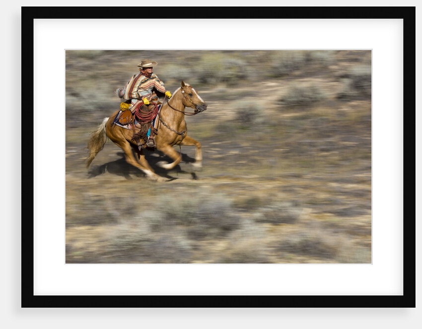 Cowgirl riding at full speed in motion by Anonymous
