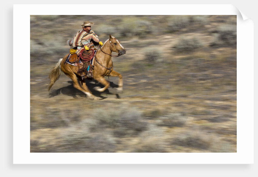 Cowgirl riding at full speed in motion by Anonymous