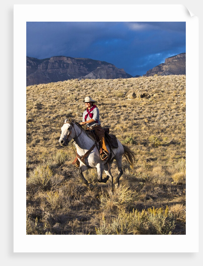 Cowgirl riding at full speed in motion by Anonymous