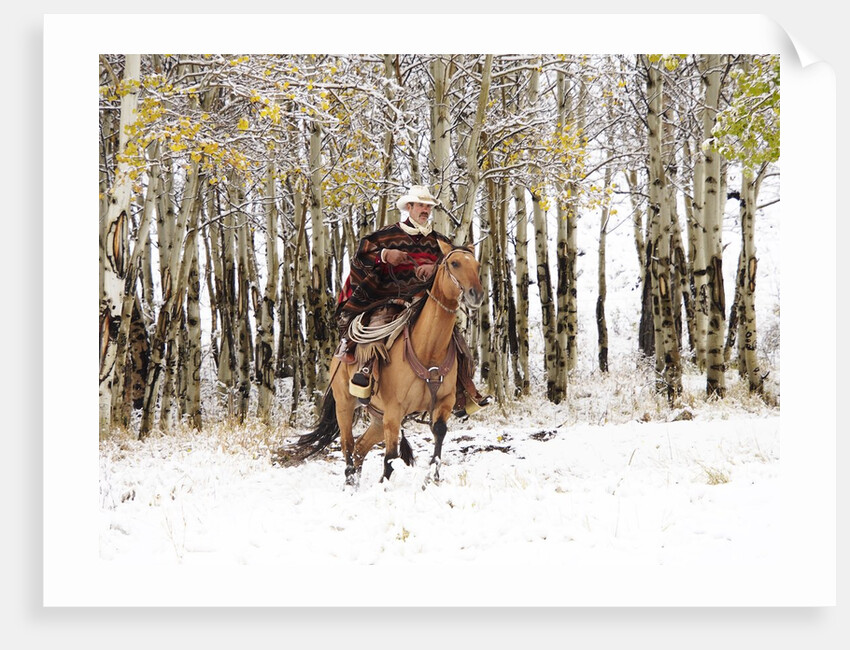 Cowboys riding in Autumn Aspens with a fresh snowfall by Anonymous