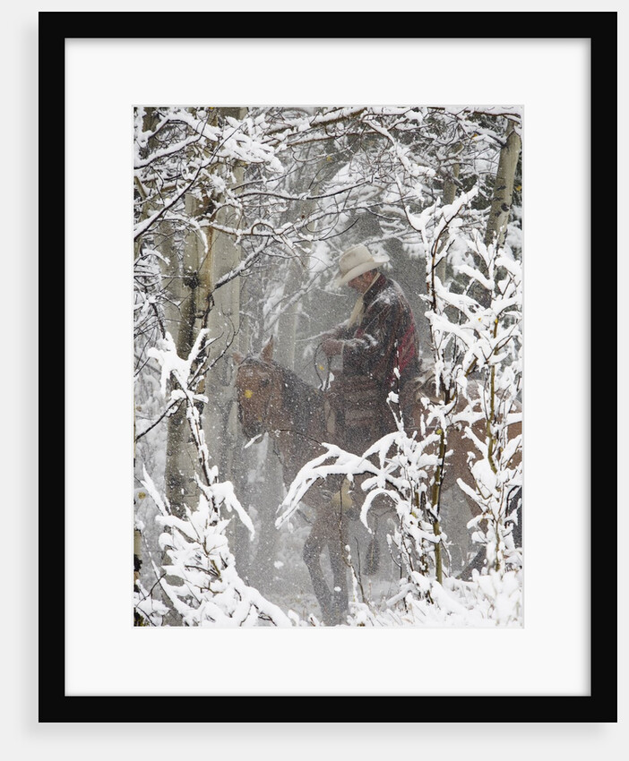 Cowboys riding in Autumn Aspens with a fresh snowfall by Anonymous