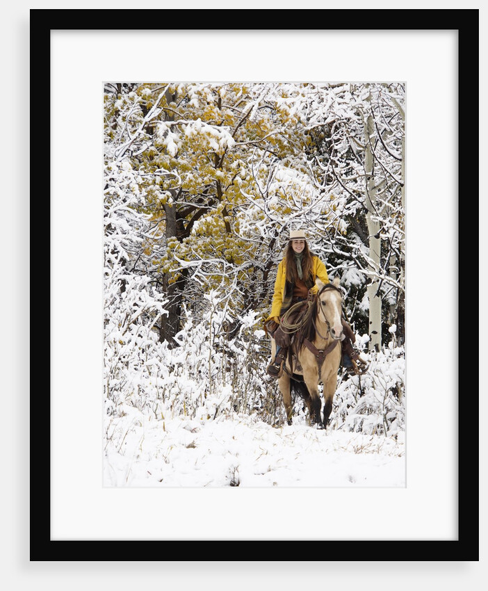 Cowgirl riding in Autumn Aspens with a fresh snowfall by Anonymous