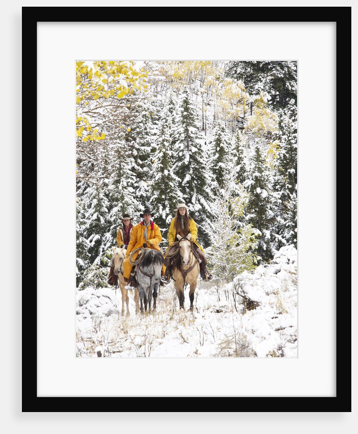 Cowgirls and Cowboy riding in Autumn Aspens with a fresh snowfall by Anonymous