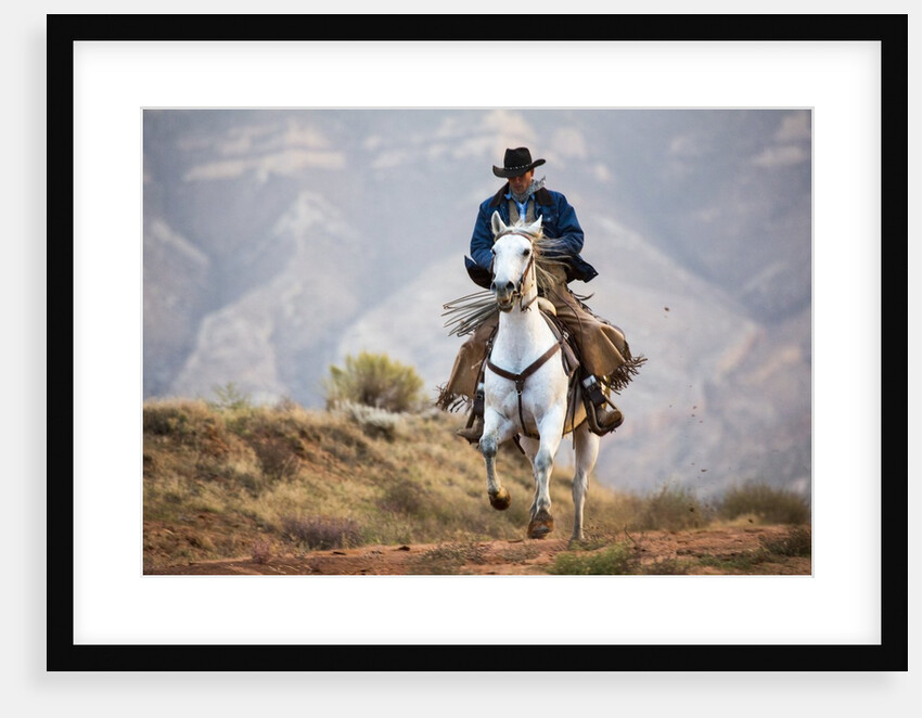 Cowboy at Full Gallop by Anonymous