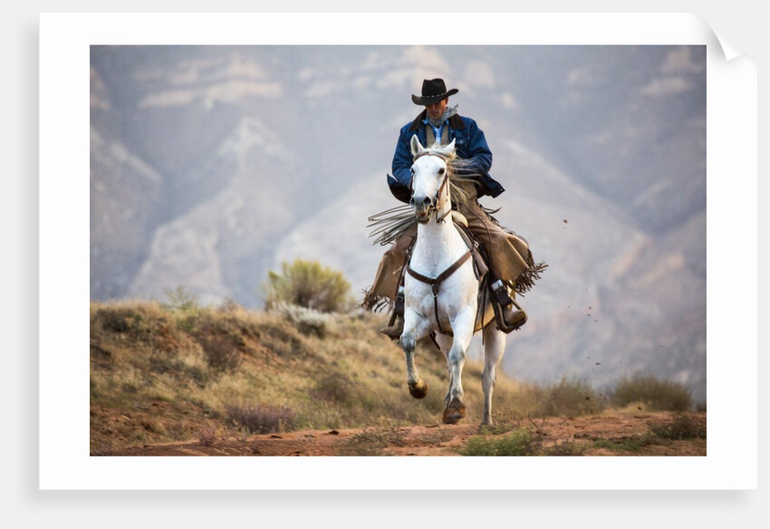 Cowboy at Full Gallop by Anonymous
