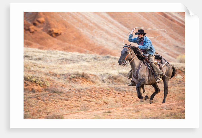 Cowboy at Full Gallop by Anonymous