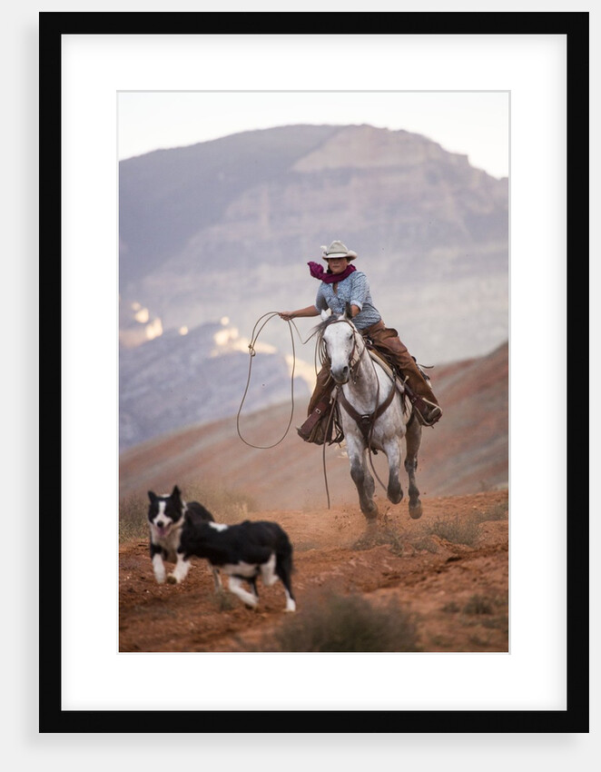 Cowgirl at Full Gallop with Cowdogs leading way by Anonymous