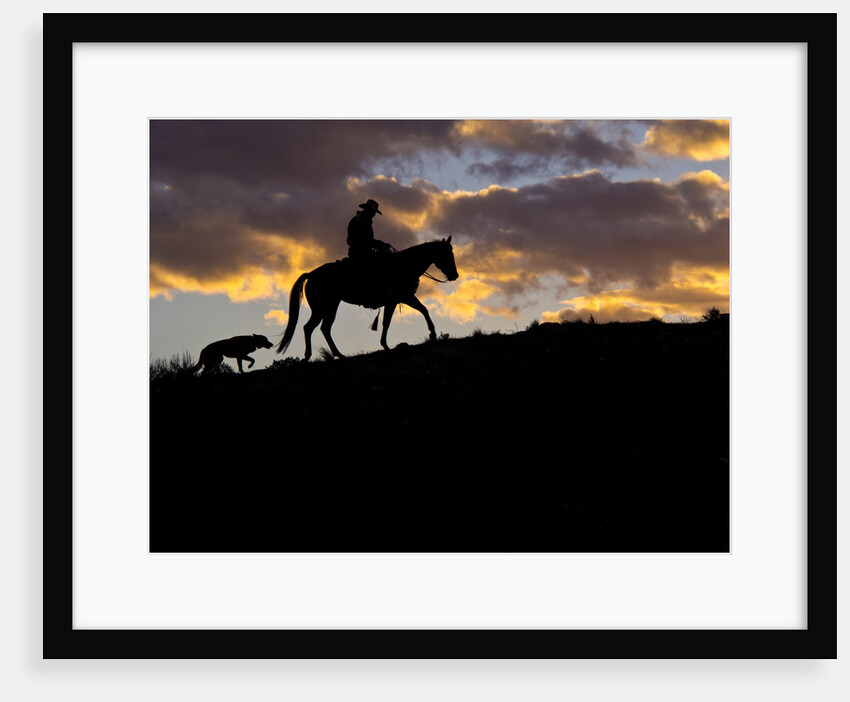 Cowboy in silhouette with sunset by Anonymous