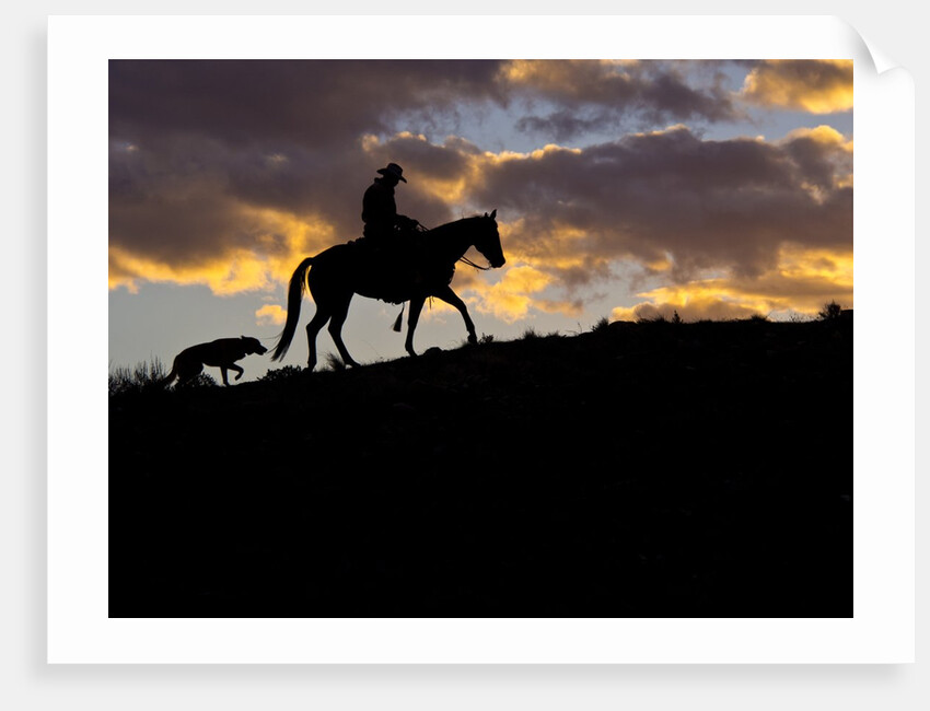 Cowboy in silhouette with sunset by Anonymous