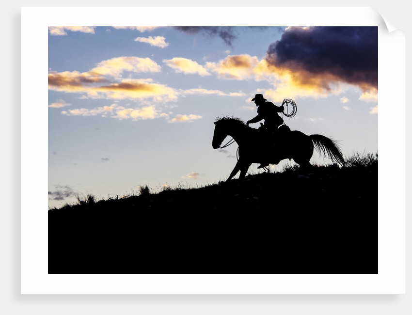 Cowboy in silhouette with sunset by Anonymous