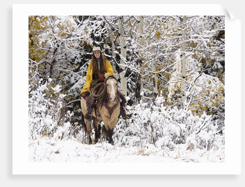 Cowgirl riding in Autumn Aspens with a fresh snowfall by Anonymous