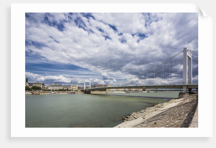 The river Danube, the Elisabeth Bridge, the town of Pest by Anonymous