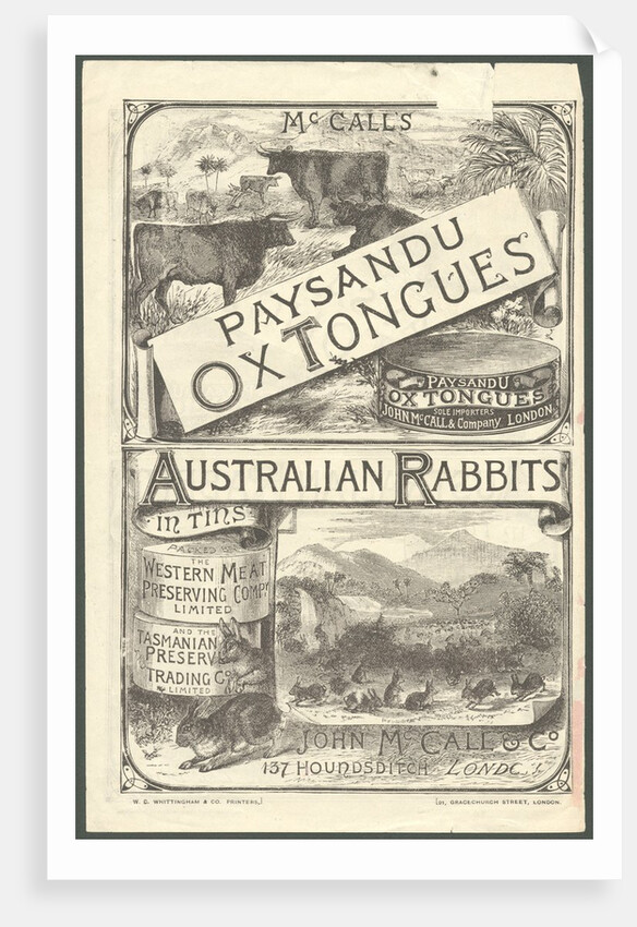 Paysandu ox tongue, 1890s. by Anonymous
