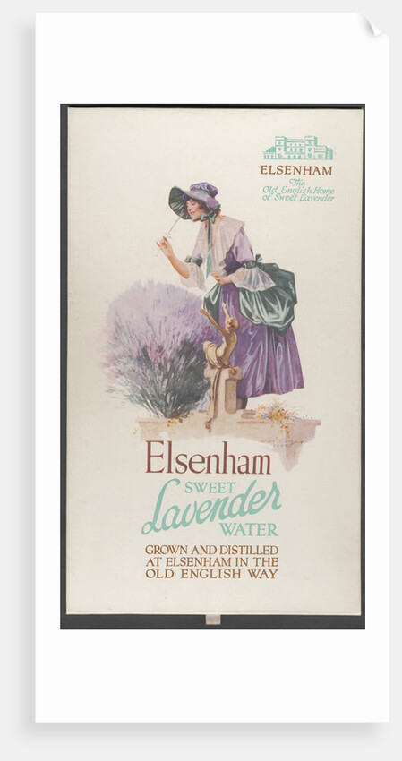 Elsenham Lavender, 1920s. Artist: Wilfred Fryer by Anonymous