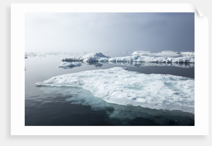 Melting Sea Ice, Repulse Bay, Nunavut Territory, Canada by Anonymous