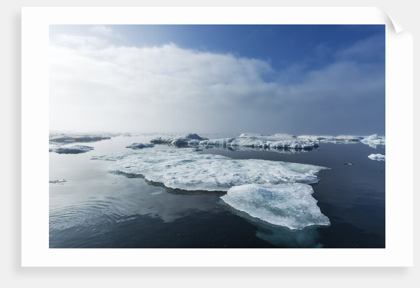 Melting Sea Ice, Repulse Bay, Nunavut Territory, Canada by Anonymous