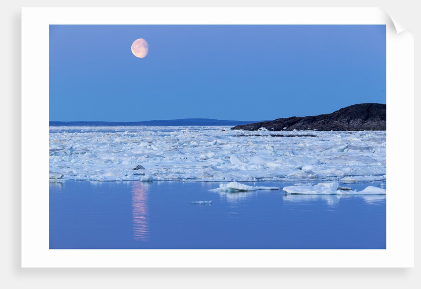 Full Moon and Melting Sea Ice, Repulse Bay, Nunavut Territory, Canada by Anonymous