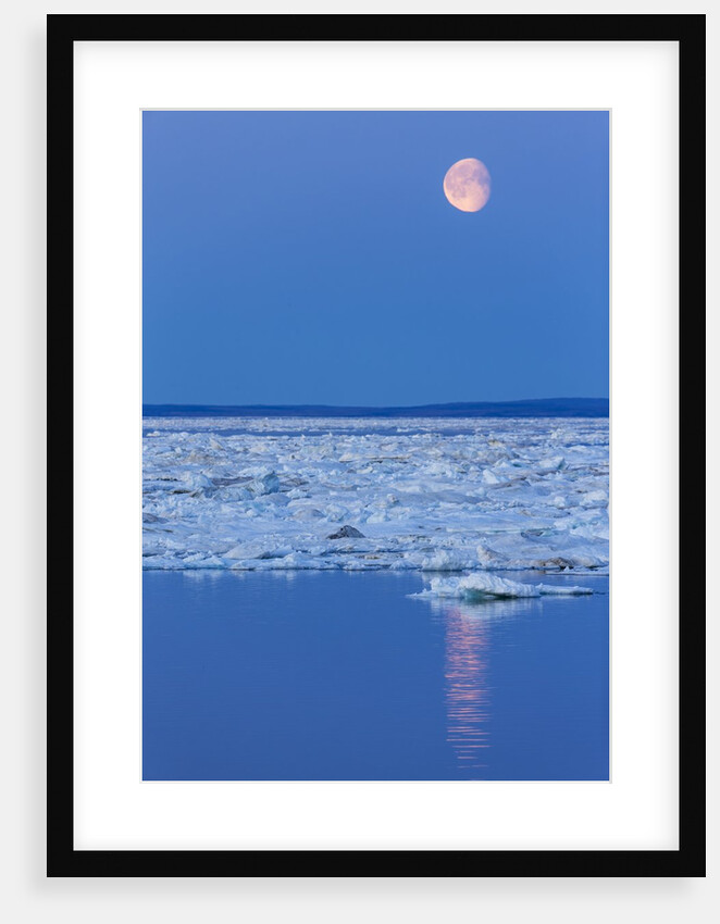 Full Moon and Melting Sea Ice, Repulse Bay, Nunavut Territory, Canada by Anonymous