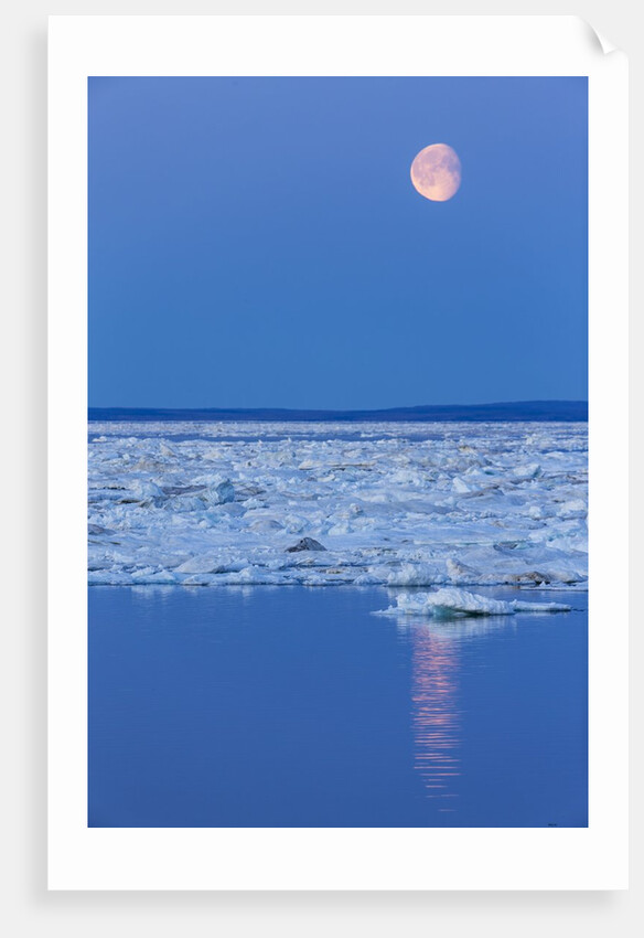 Full Moon and Melting Sea Ice, Repulse Bay, Nunavut Territory, Canada by Anonymous
