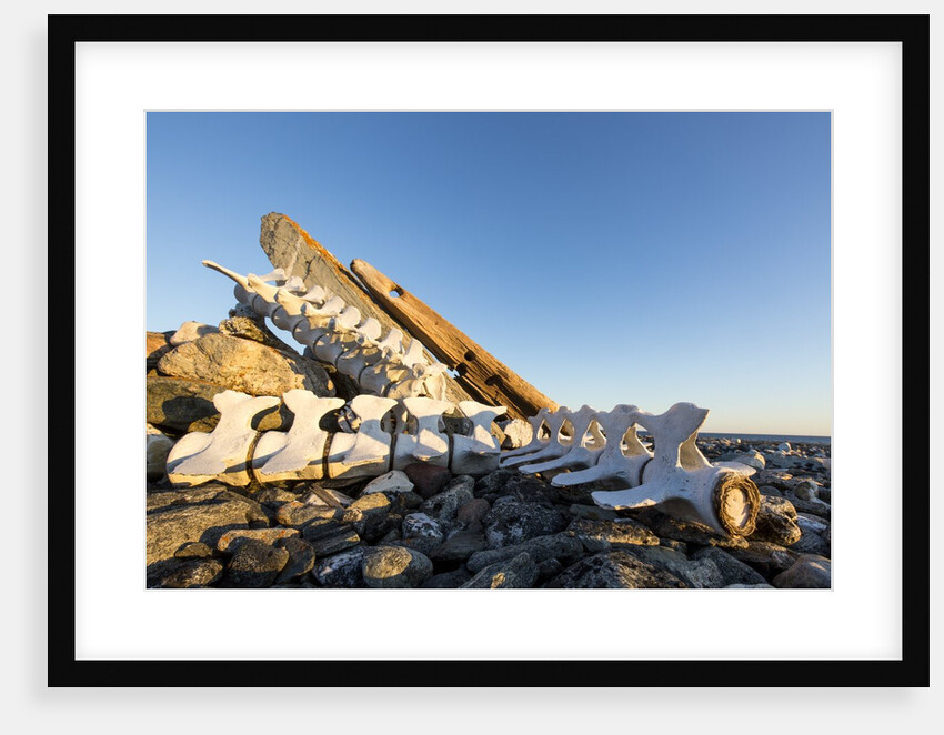 Whalers' Graves, Deadman Island, Nunavut, Canada by Anonymous