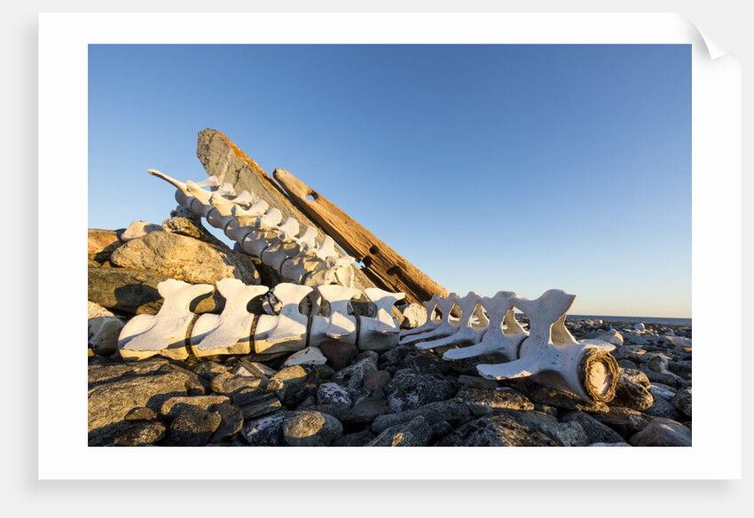 Whalers' Graves, Deadman Island, Nunavut, Canada by Anonymous
