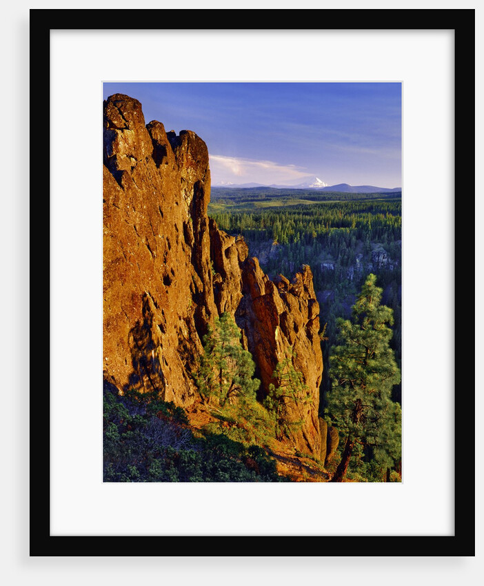 Mt. Jefferson viewed from Badger Creek Wilderness by Anonymous