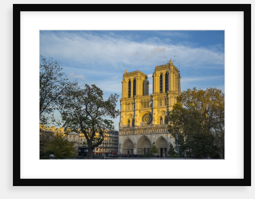 Notre Dame Cathedral by Anonymous