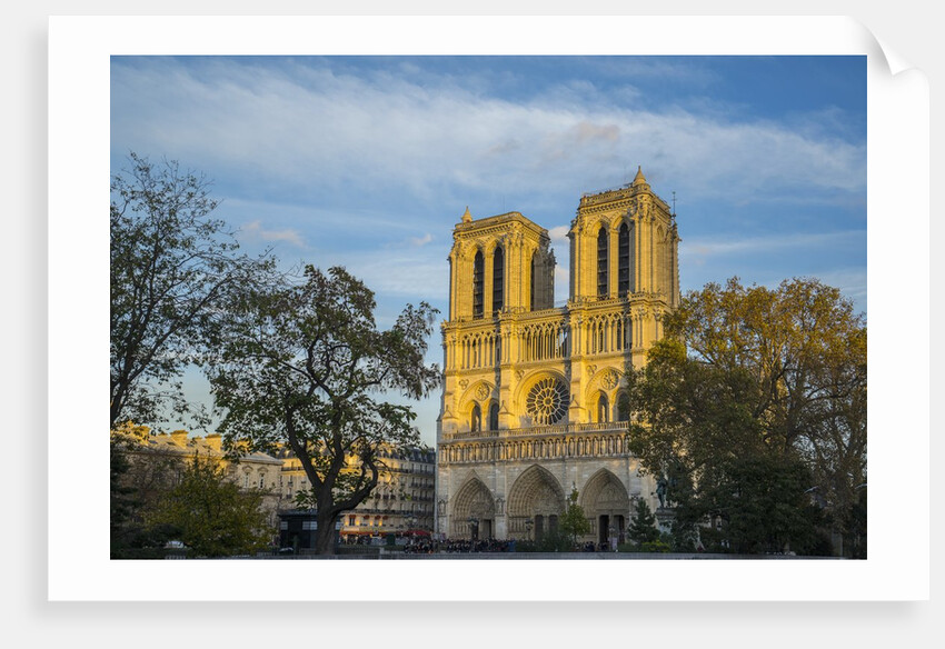 Notre Dame Cathedral by Anonymous