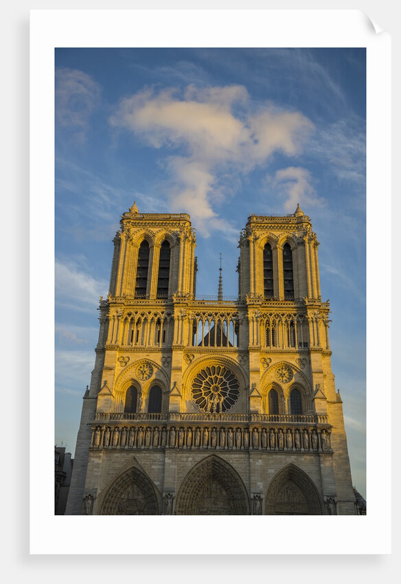 Notre Dame Cathedral by Anonymous