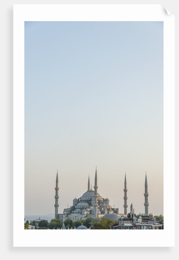 Sultan Ahmet camii, the Blue Mosque by Anonymous