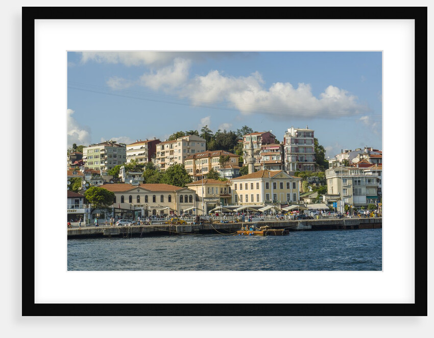 Beautiful houses along Bosporus by Anonymous