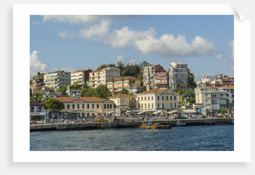 Beautiful houses along Bosporus by Anonymous