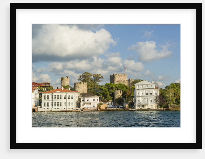Beautiful houses along Bosporus by Anonymous