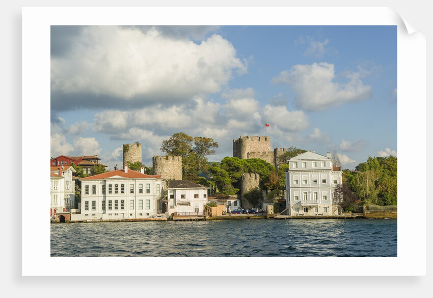 Beautiful houses along Bosporus by Anonymous