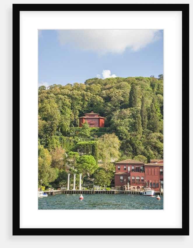 Beautiful houses along Bosporus by Anonymous