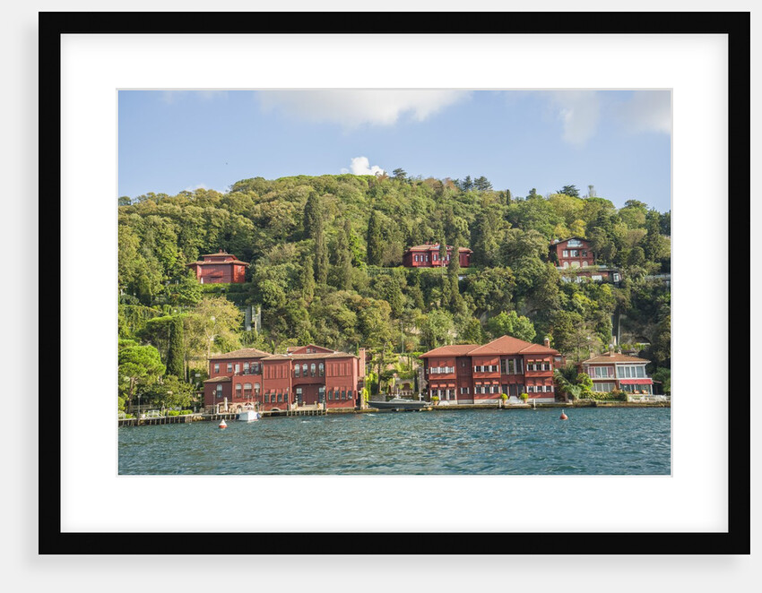 Beautiful houses along Bosporus by Anonymous