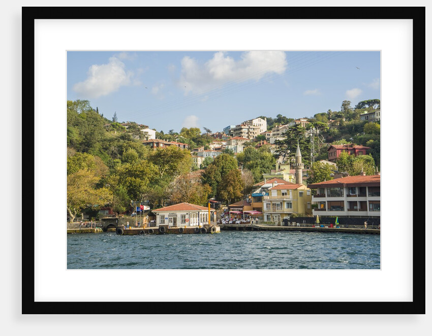 Beautiful houses along Bosporus by Anonymous