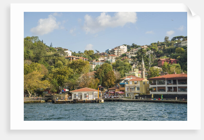 Beautiful houses along Bosporus by Anonymous