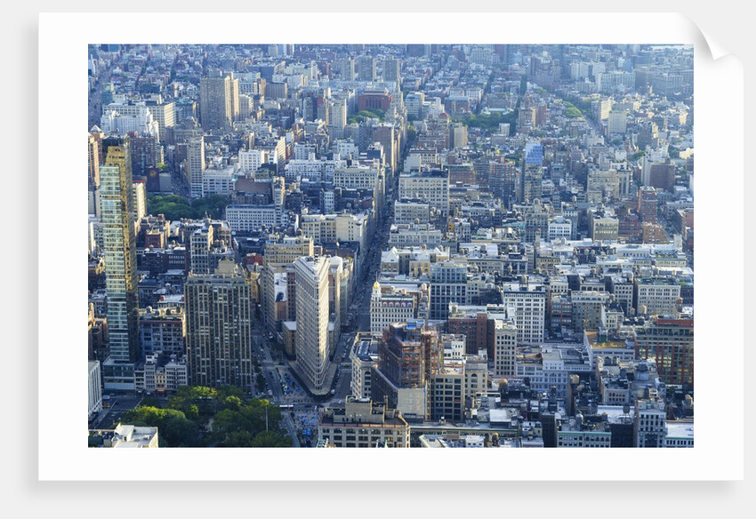 Manhattan skyline from above, New York City by Anonymous